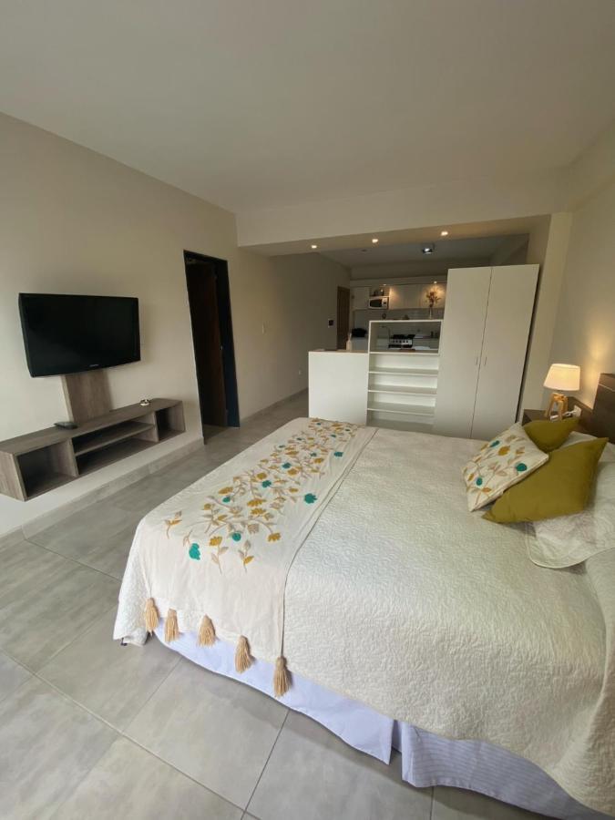 Apart Moderno Excepcional Barrio Sur Apartment San Miguel de Tucuman